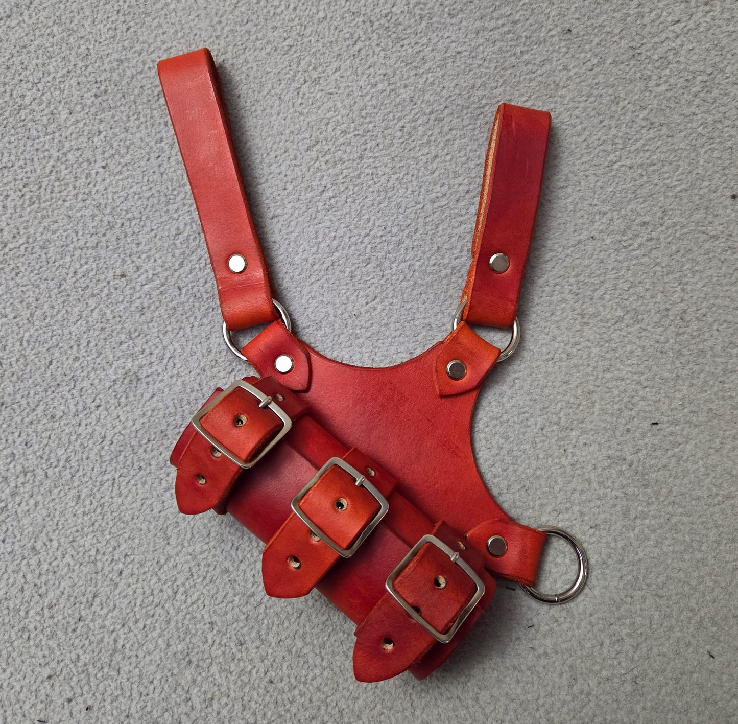 Leather Sword Frog
