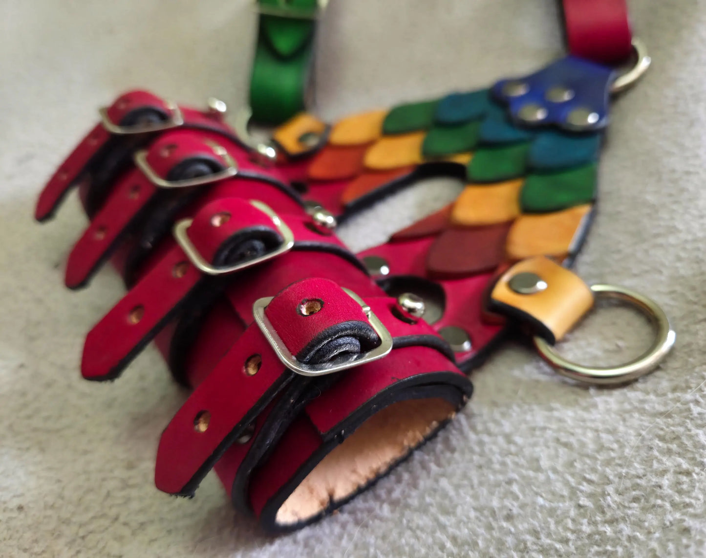 Leather Sword Frog (Single) - Rainbow Scale